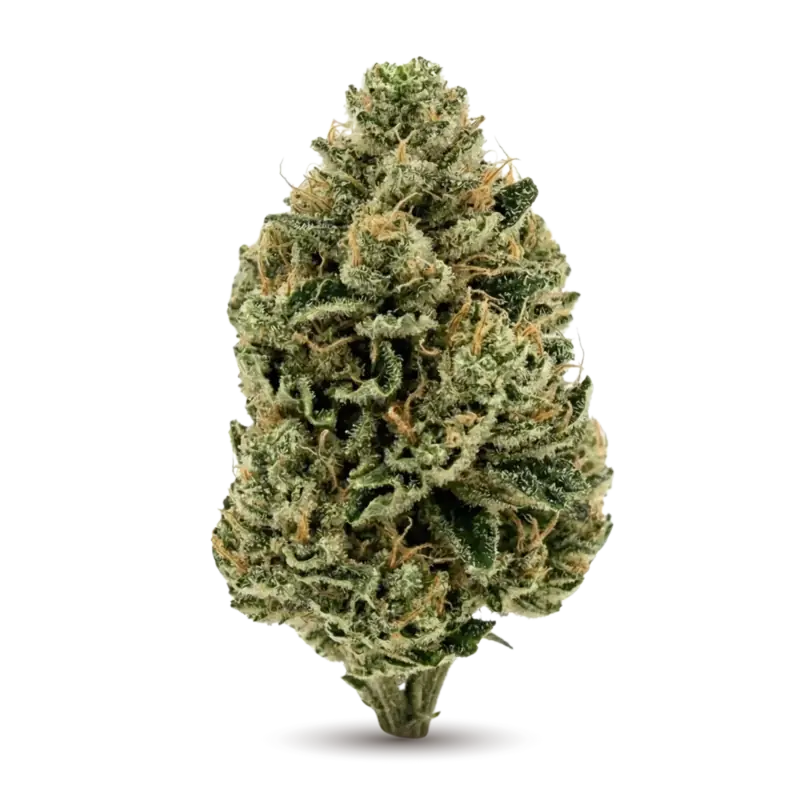 CBD (Cannabidiol)