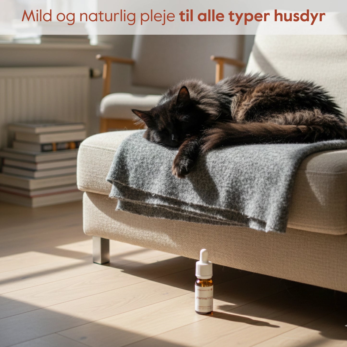 Forudbestilling: Pet Harmony™ CBD olie til dyr 5%