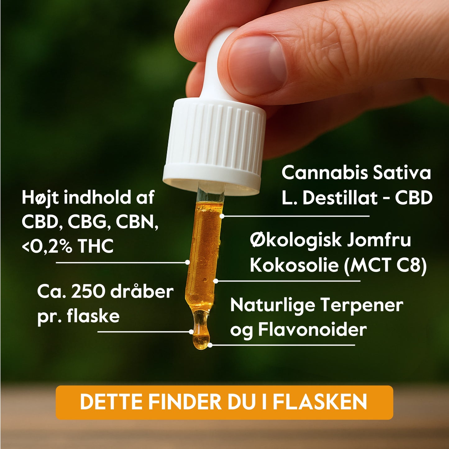 CBD olie 10%