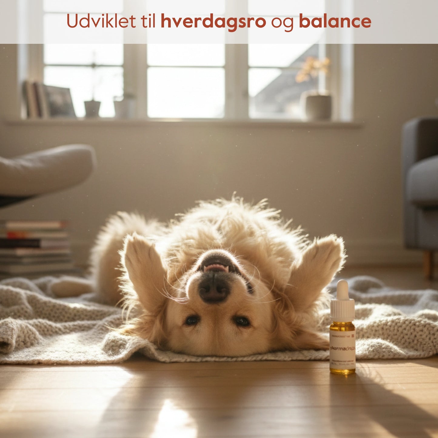 Forudbestilling: Pet Harmony™ CBD olie til dyr 5%