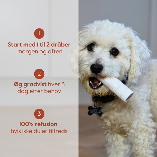 Pet Harmony™ CBD olie til dyr 5%