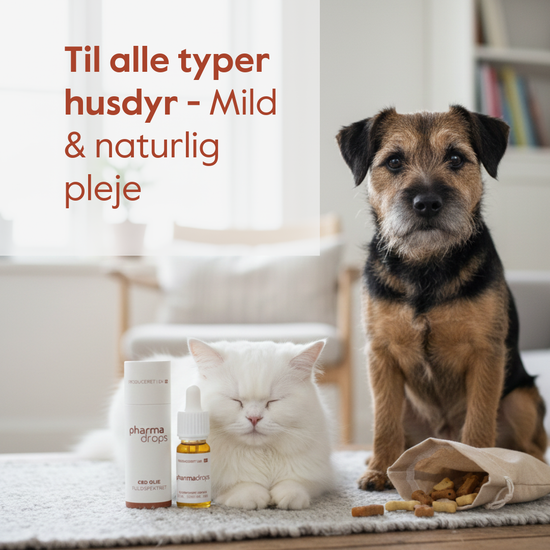 Pet Harmony™ CBD olie til dyr 5%